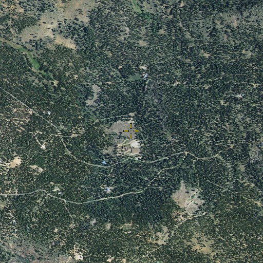 Aerial/Satellite Image of Buck Meadows, CA