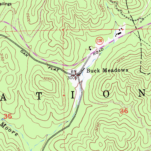 Topographic Map of Buck Meadows, CA