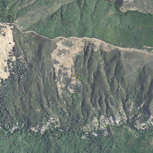 Aerial/Satellite Image of Buck Spring, CA