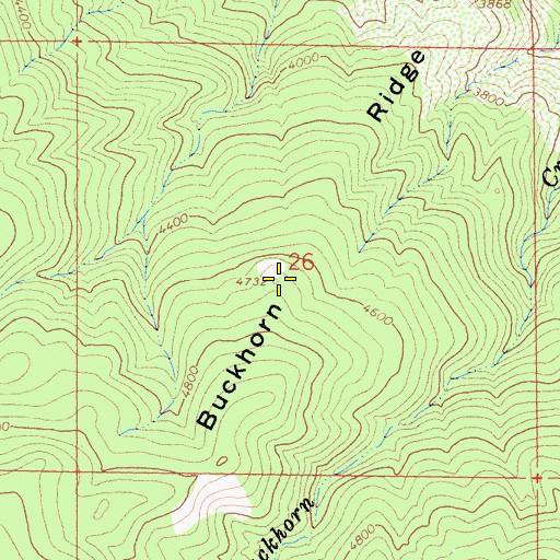 Topographic Map of Buckhorn Ridge, CA