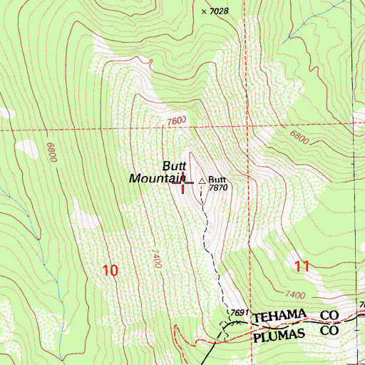Topographic Map of Butt Mountain, CA