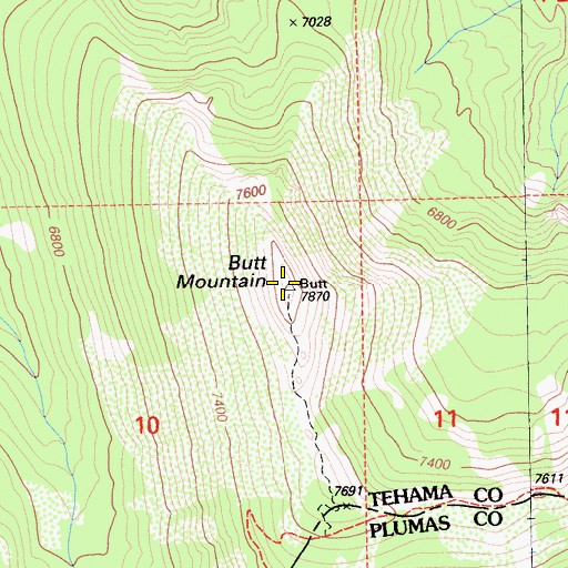 Topographic Map of Butt Mountain, CA