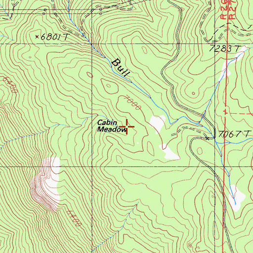 Topographic Map of Cabin Meadow, CA