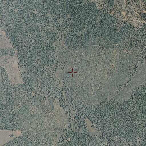 Aerial/Satellite Image of Cal-Cone Burn, CA