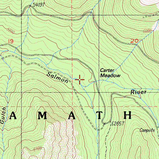 Topographic Map of Carter Meadow, CA