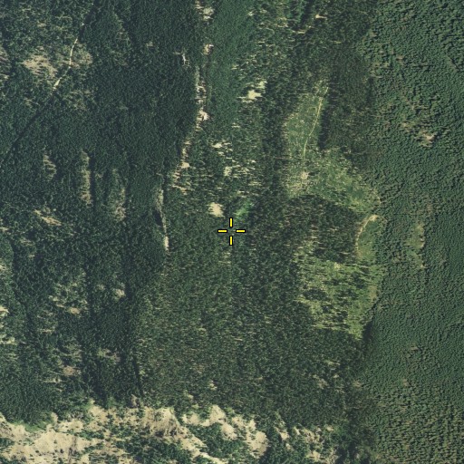 Aerial/Satellite Image of Carter Meadow Trail (historical), CA