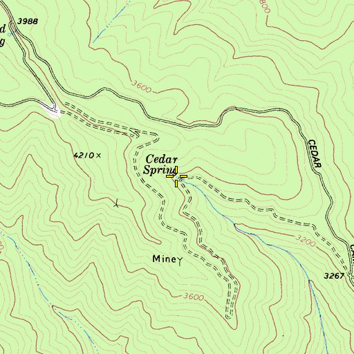 Topographic Map of Cedar Spring, CA