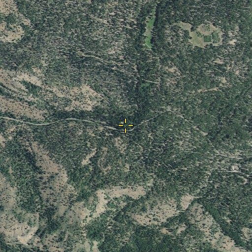 Aerial/Satellite Image of Cedar Spring, CA