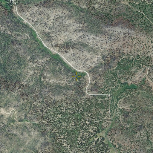 Aerial/Satellite Image of Chipmunk Spring, CA