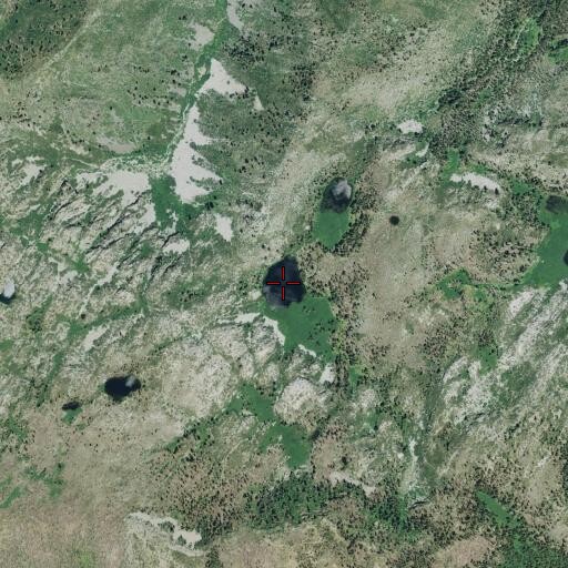 Aerial/Satellite Image of Chips Lake, CA