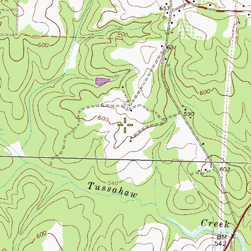 Topographic Map of Worthville Division, GA