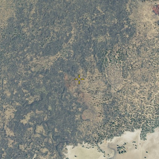 Aerial/Satellite Image of Cinder Cone, CA