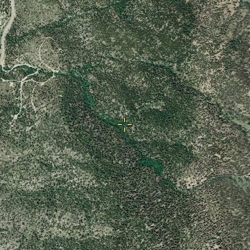 Aerial/Satellite Image of Logan Creek Census Designated Place, NV