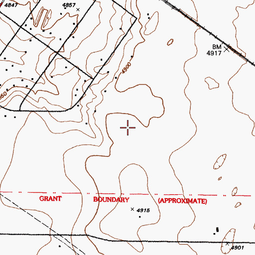 Topographic Map of Madrone Census Designated Place, NM