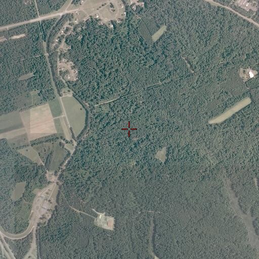 Aerial/Satellite Image of Bruton Census Designated Place, VA