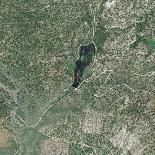 Aerial/Satellite Image of Colman Lake, CA