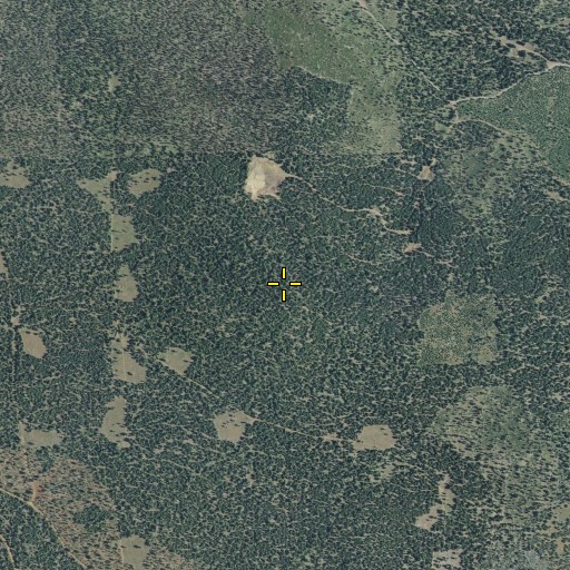 Aerial/Satellite Image of Cone Mountain, CA