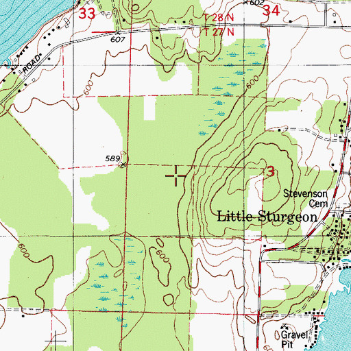 Topographic Map of Little Sturgeon Census Designated Place, WI