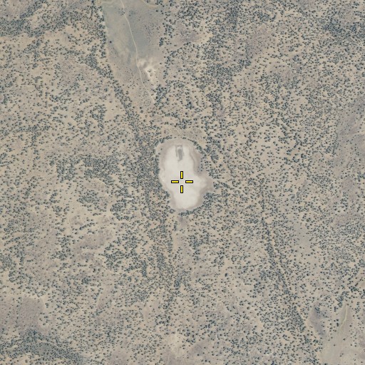 Aerial/Satellite Image of Cummins Lake, CA