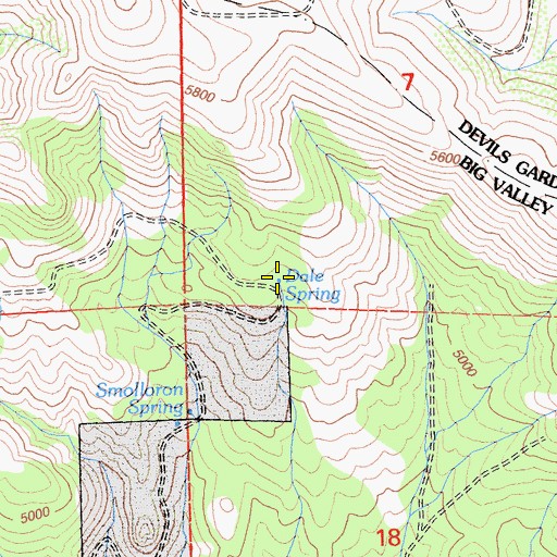 Topographic Map of Dale Spring, CA