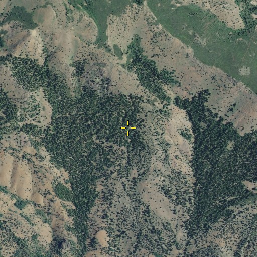 Aerial/Satellite Image of Dale Spring, CA