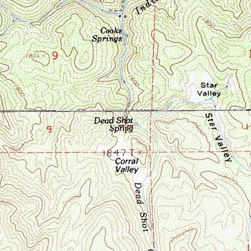 Topographic Map of Dead Shot Spring, CA