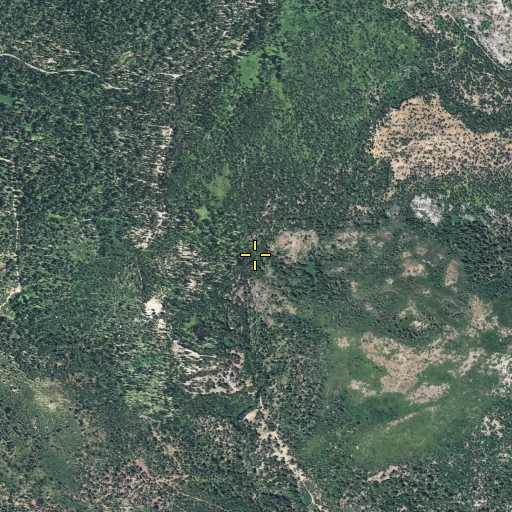 Aerial/Satellite Image of Dellar Creek, CA