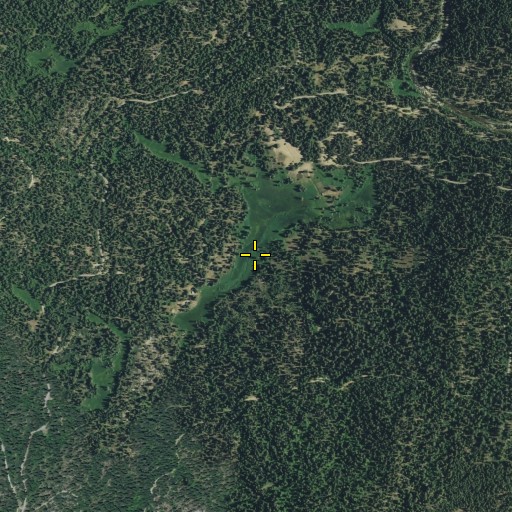Aerial/Satellite Image of Dinkey Meadow, CA