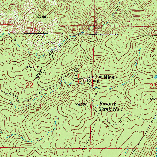 Topographic Map of Bannie Mine Dump, AZ