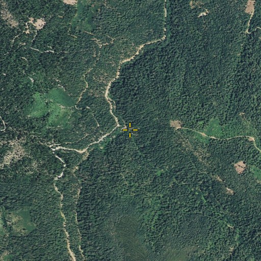 Aerial/Satellite Image of East Branch Schneider Creek, CA