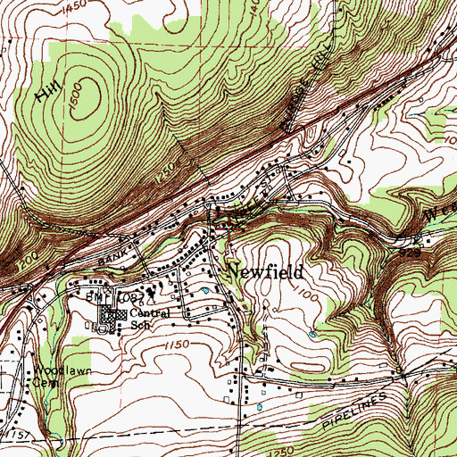Topographic Map of Newfield Town Hall, NY