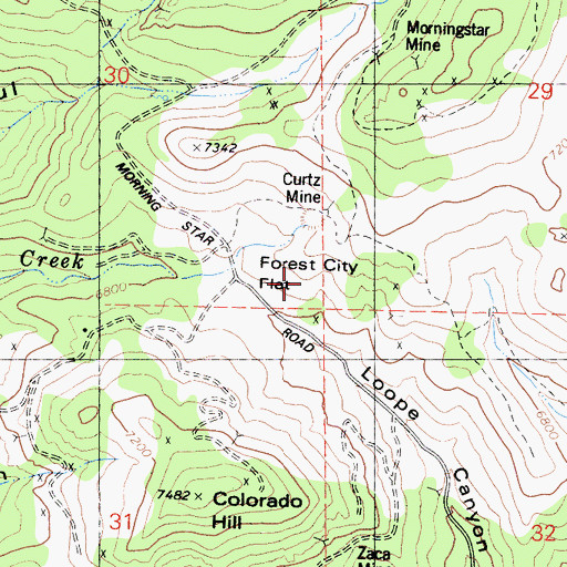 Topographic Map of Forest City Flat, CA