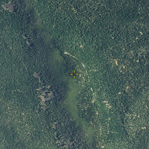 Aerial/Satellite Image of Fort Mountain, CA