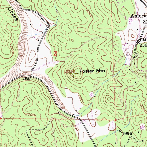 Topographic Map of Foster Mountain, CA