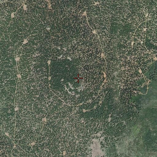 Aerial/Satellite Image of Fox Mountain, CA