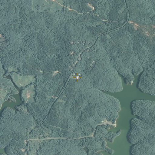 Aerial/Satellite Image of Bartow County Fire Department Station 13, GA