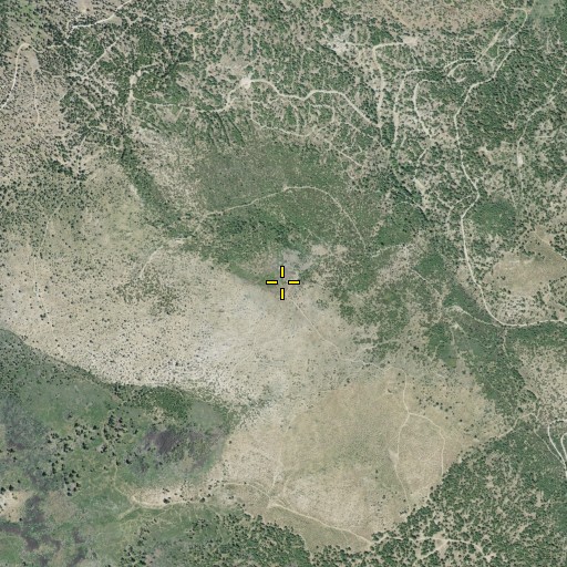 Aerial/Satellite Image of Gallatin Peak, CA