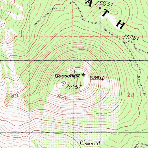 Topographic Map of Goosenest, CA