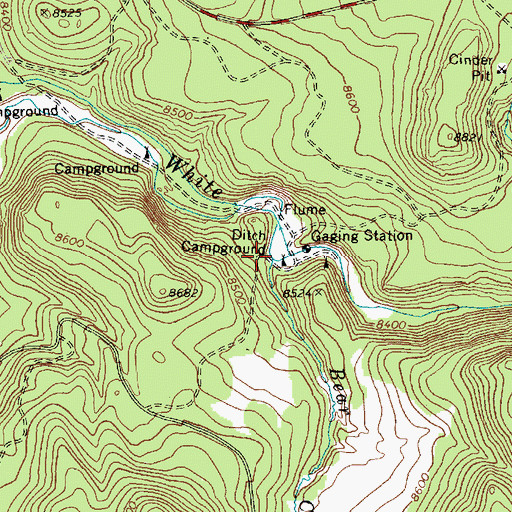 Topographic Map of Bear Cienega Creek, AZ