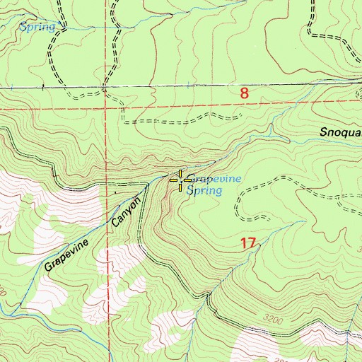 Topographic Map of Grapevine Spring, CA