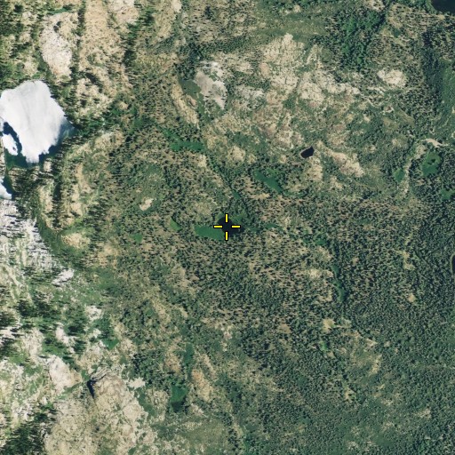 Aerial/Satellite Image of Grass Lake, CA