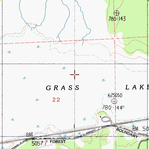Topographic Map of Grass Lake, CA