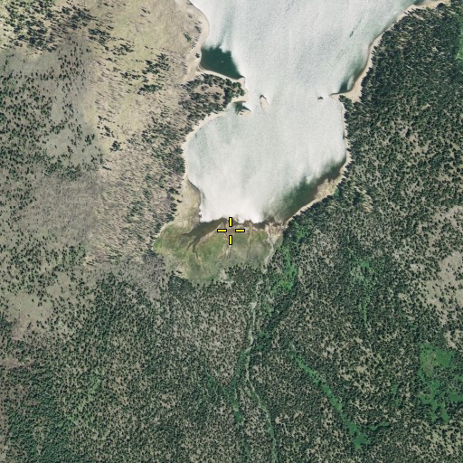Aerial/Satellite Image of Grassy Creek, CA