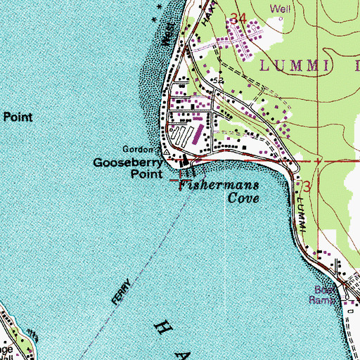 Topographic Map of Whatcom County Ferry Landing, WA