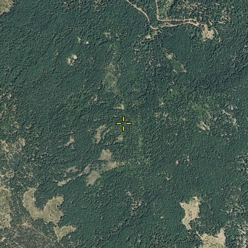 Aerial/Satellite Image of Grayback Ridge, CA