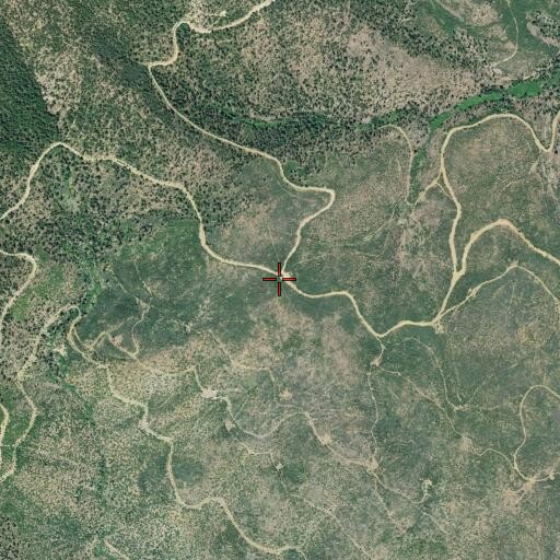 Aerial/Satellite Image of Greenville Saddle, CA