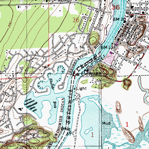 Topographic Map of Pioneer Point Marina, WA