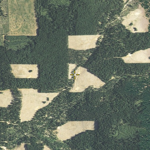Aerial/Satellite Image of Hazen Flat, CA