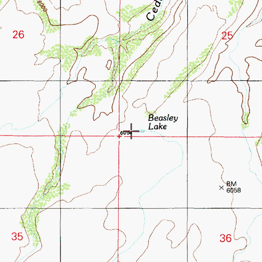 Topographic Map of Beasley Lake, AZ