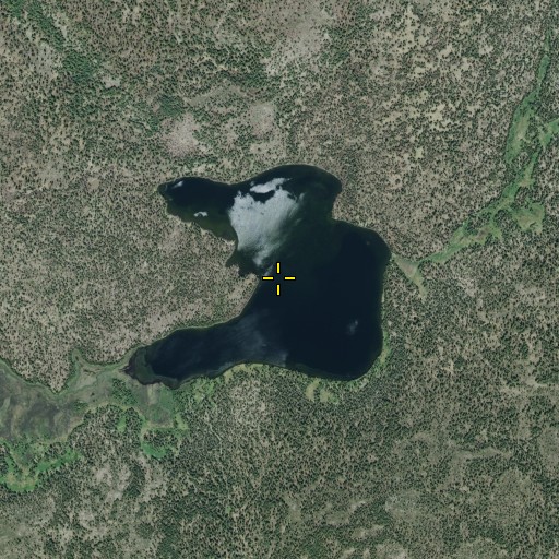 Aerial/Satellite Image of Horseshoe Lake, CA